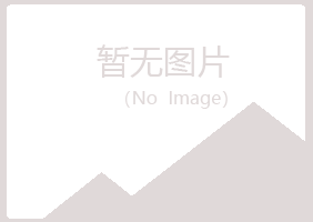 银川西夏幻柏工程有限公司